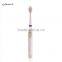 Cheap adult electric toothbrush
