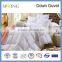 70% White Goose Down Duvet Warm quilt Soft quilt Light quilt