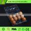 disposable egg tray