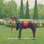 2015 's best-selling product horse plush toy' kid toy animal toys Musical toys