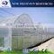 Low cost multi-span PVC/PE agricultural greenhouse for cucumber/tomato/lettuce/eggplant growing