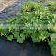 woven plastic weed mat,weedmat for farm,greenery pp groundcover
