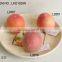 Realistic Artificial Polyfoam peach in polyfoam for display House Decoration artificial fruits