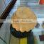 RIGID POLYURETHANE FOAM SYSTERM FOR WOOD INSULATION