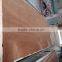 Sapele Veneer Plywood