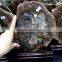 polished wooden fossil pieces for deco