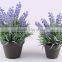 Artificial Flower Plastic Lavender Potted