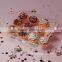 Clamshell Cheap clear transparent plastic cupcake box