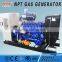 biomass chp generator
