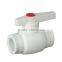 PPR Plastic Ball Valve with Brass Core and Filter