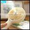 Outside Camping Usb Electric With Water Spray Fan