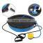 Bosu Balance Trainer