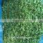IQF frozen carrot vegetable with high quality/frozen vegetables factory