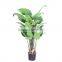 Large Wholesale Artificial Paradise Flowers Decorative Plastic Trees