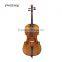 High Grade Best Quality Wood Cello