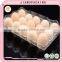 Clear plastic clamshell egg tray box packaging of 15 holes/cavities