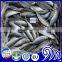 Frozen Round Scad Best Price Of Frozen Round Scad Mackerel Fish