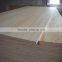 1220x 2440x 12MM bent plywood furniture with poplar