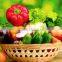 Fresh vegetables exporters