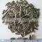 Top quantity Chinese sunflower oil seeds in shell 5009 with market price