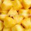 Pineapple canned in tin all sizes