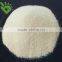 8-16 mesh dehydrated garlic granules from China