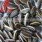 Common Cultivation Type Sunflower Seeds with stripes