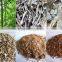 Jingying Brand rice drying machine/wood chip drying equipment/wood chip drying