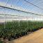 Greenhouse Plastic film for Agriculture