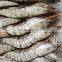 HL002 Frozen Seafood Best Frozen Shrimp Brands With Cheap Price