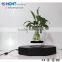 Factory price levitating display bonsai floating plant pots