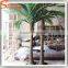 China Supplier Cheap Plastic Coconut Tree Price Fake Coconut Palm Plant Tree for Sale