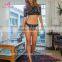 Big Stock Latest Fashion Sexy Women Girls Underwear Bra New Design