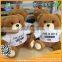 Chrismas Gift 2017 Cute Cartoon Stuff Plush Toy Power Bank