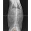 Medical Laser Paper Film, Medical Translucent Dry Film