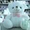 HI CE OEM colorful plush shining led flashing bear toy