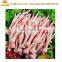 industry chicken feet processing machine / chicken feet stripper / Chicken paws peeling machine