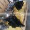 Trade assurance Danfoss SAUER 51V series 51V250 RF2NE2A7 ANE1CCA 130AAF0 0318 hydraulic piston pump