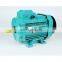 YE2-4poles 380v 0.75-315 kw AC motor 3 phase asynchronous induction cast iron housing motor for crusher