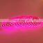 shenzhen factory dc12v dc24v smd 5050 rgbww 4 colors led strip