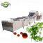 Kelp Washing Machine Celery Bubble Washing Machine