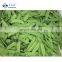 Sinocharm Top Quality Sweet Crisp Organic Frozen Snow Peas Non Worm IQF Whole Peapod