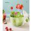 Best Selling Dryer New Kitchen Manual Bowl Multifunction Plastic Vegetable Salad Spinner
