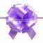 2015 Iridescent Plastic Ribbon Star Bow/Holiday Decoration Bow/Fancy Ribbon and bows for wedding