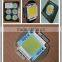 24V 80W COB High Power led module