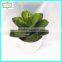 18cm new design hot sale artificial succulent plants