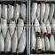 Processed frozen HG Pacific mackerel and Scomber Japonicus