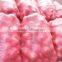 2015 Onion Lowest Price With Best Quality