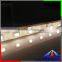 China Manufacturer 12V/24V Epistar 300leds/m SMD 5050 Waterproof IP68 Flexible LED Strip Light