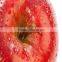 antistatic film for food packaging food grade pvc cling film stretch film roll
